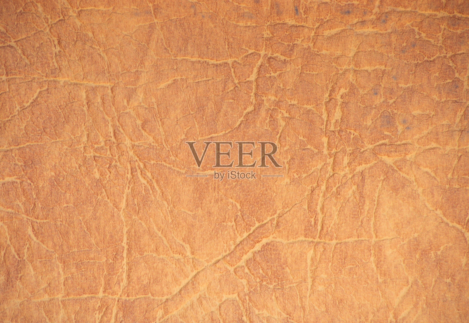 自然的米色皮肤，深皱纹和褶皱。照片摄影图片