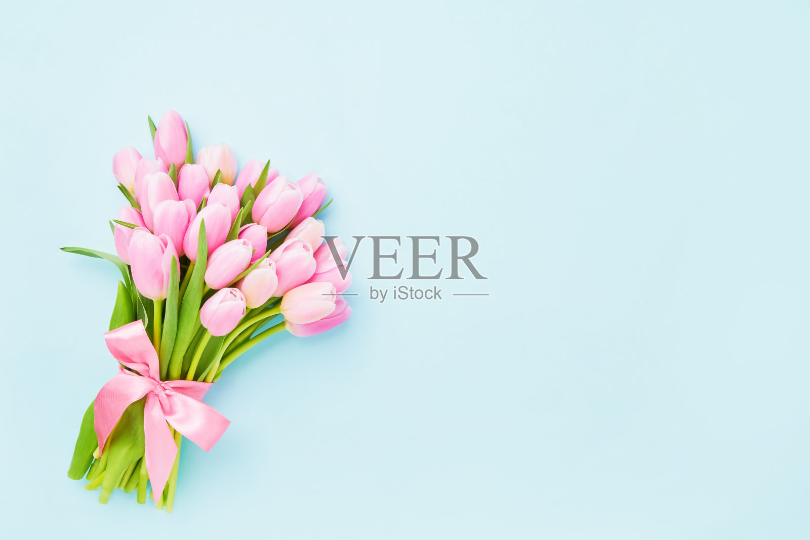 粉红色的郁金香花，在浅蓝色的背景上用丝带装饰。母亲节，情人节，生日概念。照片摄影图片