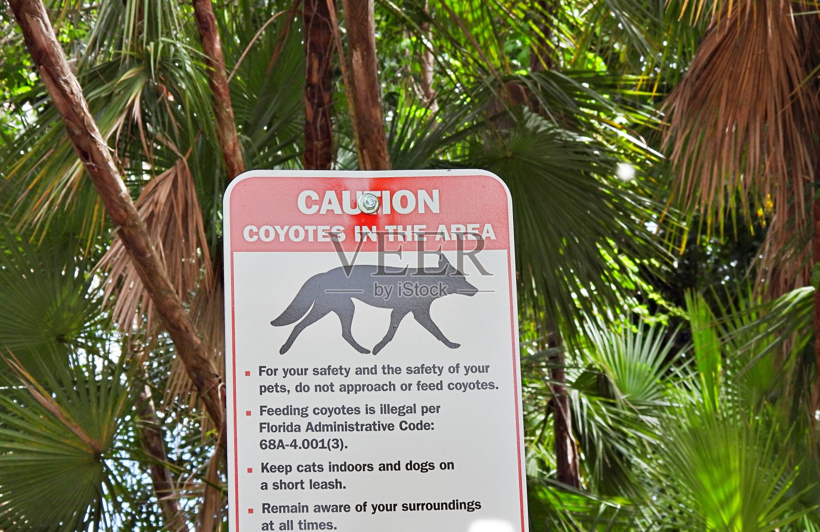 佛罗里达州的“警告土狼”警告标志照片摄影图片
