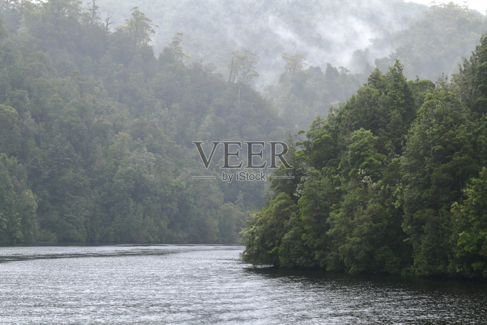 澳大利亚塔斯马尼亚州戈登河热带雨林荒野照片摄影图片