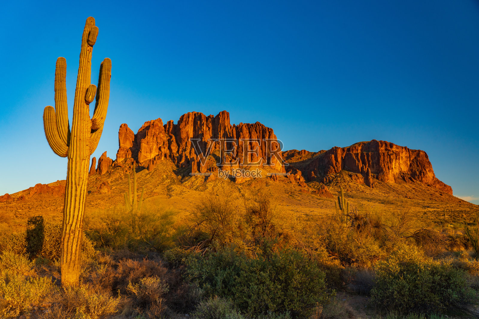 撒瓜罗·卡库图斯和迷信山照片摄影图片
