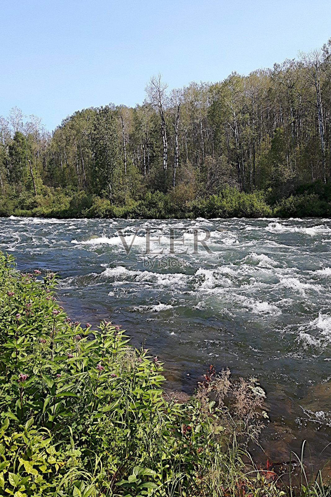 河照片摄影图片