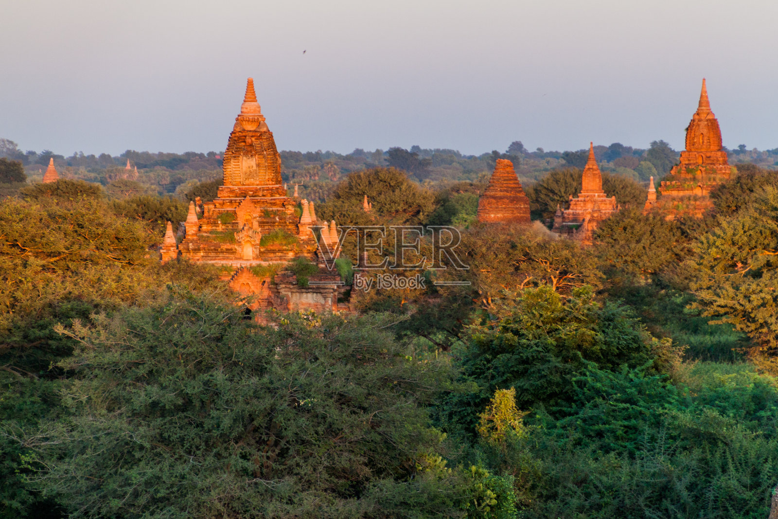 缅甸蒲甘的寺庙天际线照片摄影图片