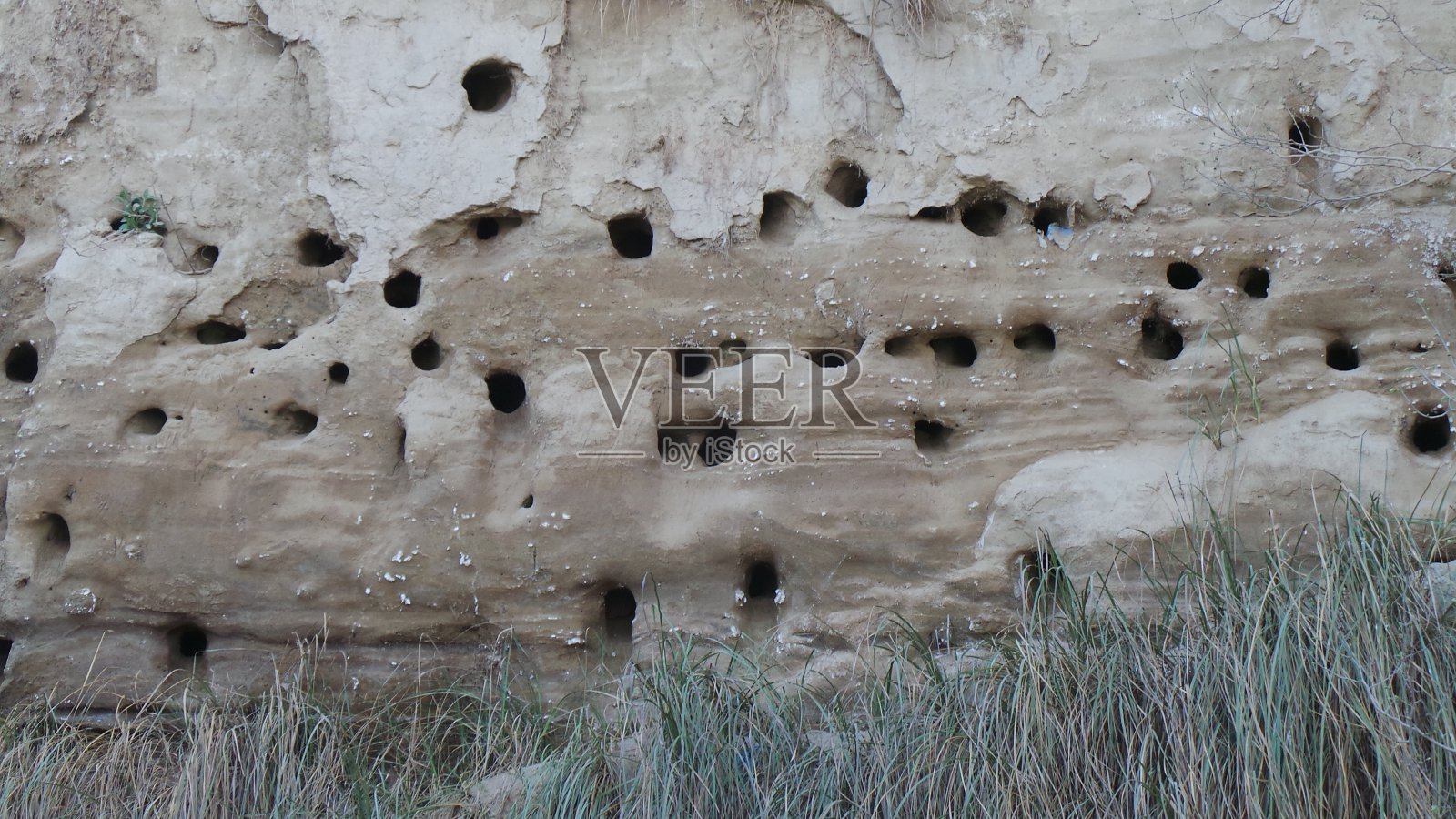 鸟住在山村里照片摄影图片