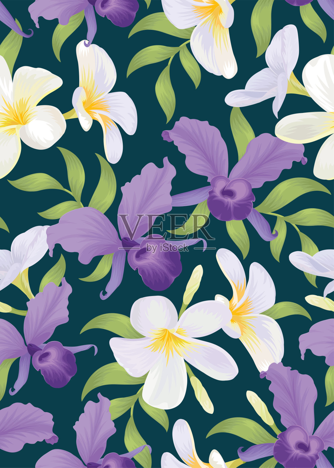 无缝的兰花图案和鸡蛋花背景模板。向量集花卉元素为婚礼请柬，贺卡，小册子，横幅和时尚设计。插画图片素材