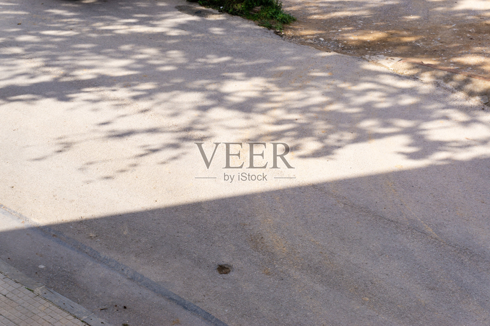 街道上一棵树的影子照片摄影图片