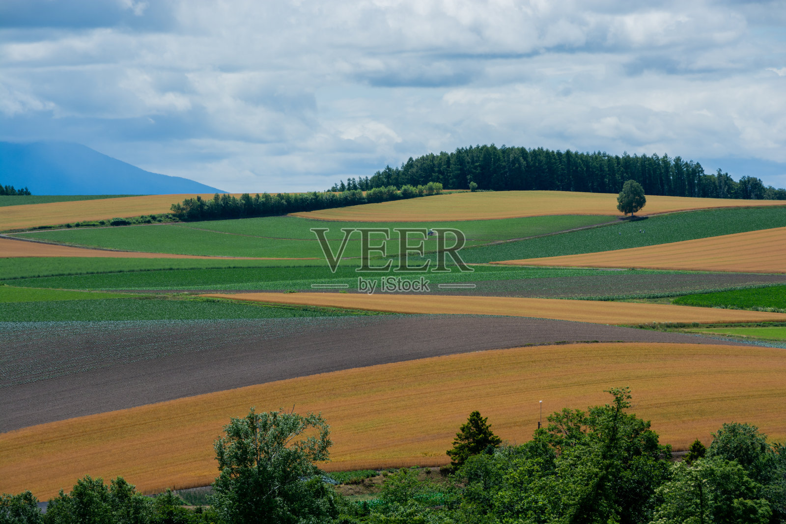 夏日的山峦，像一块块高地照片摄影图片