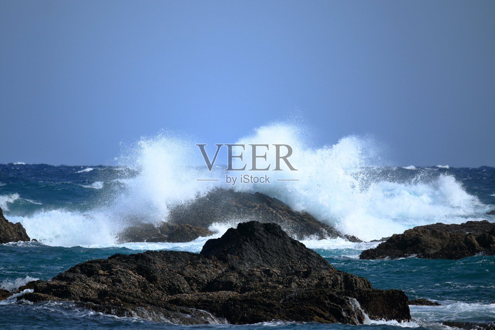 初春(高知县穆罗托角)照片摄影图片