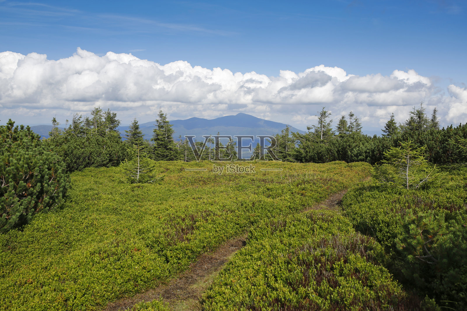 波兰Pilsko的Babia Gora峰会照片摄影图片