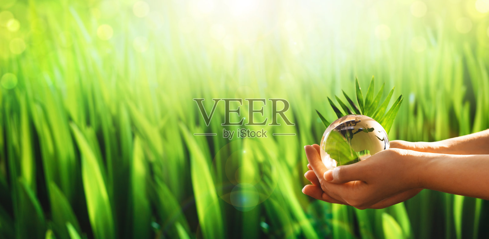 双手捧着玻璃绿色星球在阳光灿烂的背景。环境概念世界地球日横幅。拯救地球。照片摄影图片