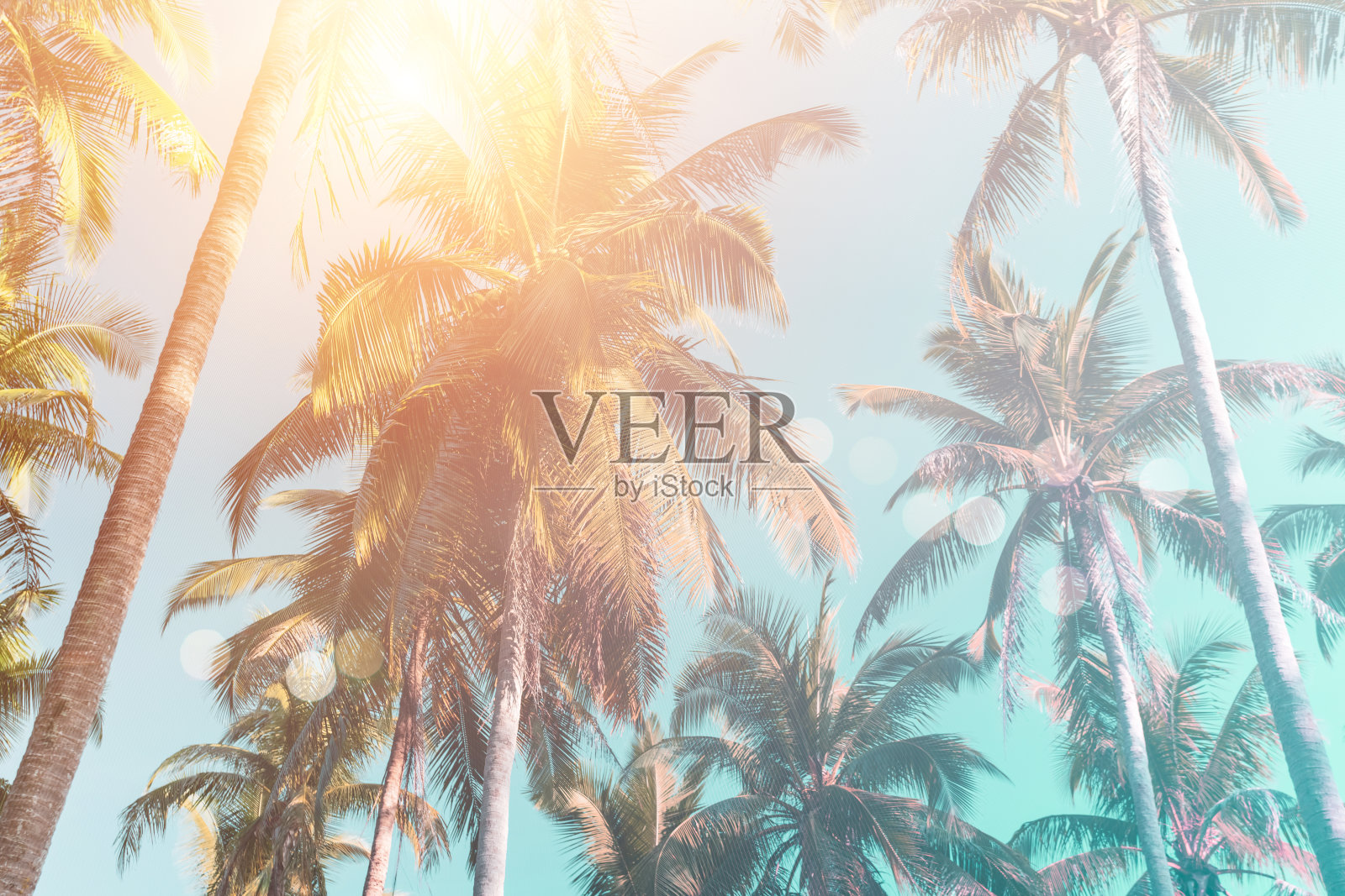 热带椰子树在日落天空闪耀和散景自然色彩斑斓的复制空间夏季概念背景。照片摄影图片