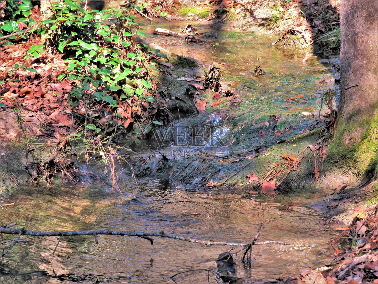 五彩小溪照片摄影图片