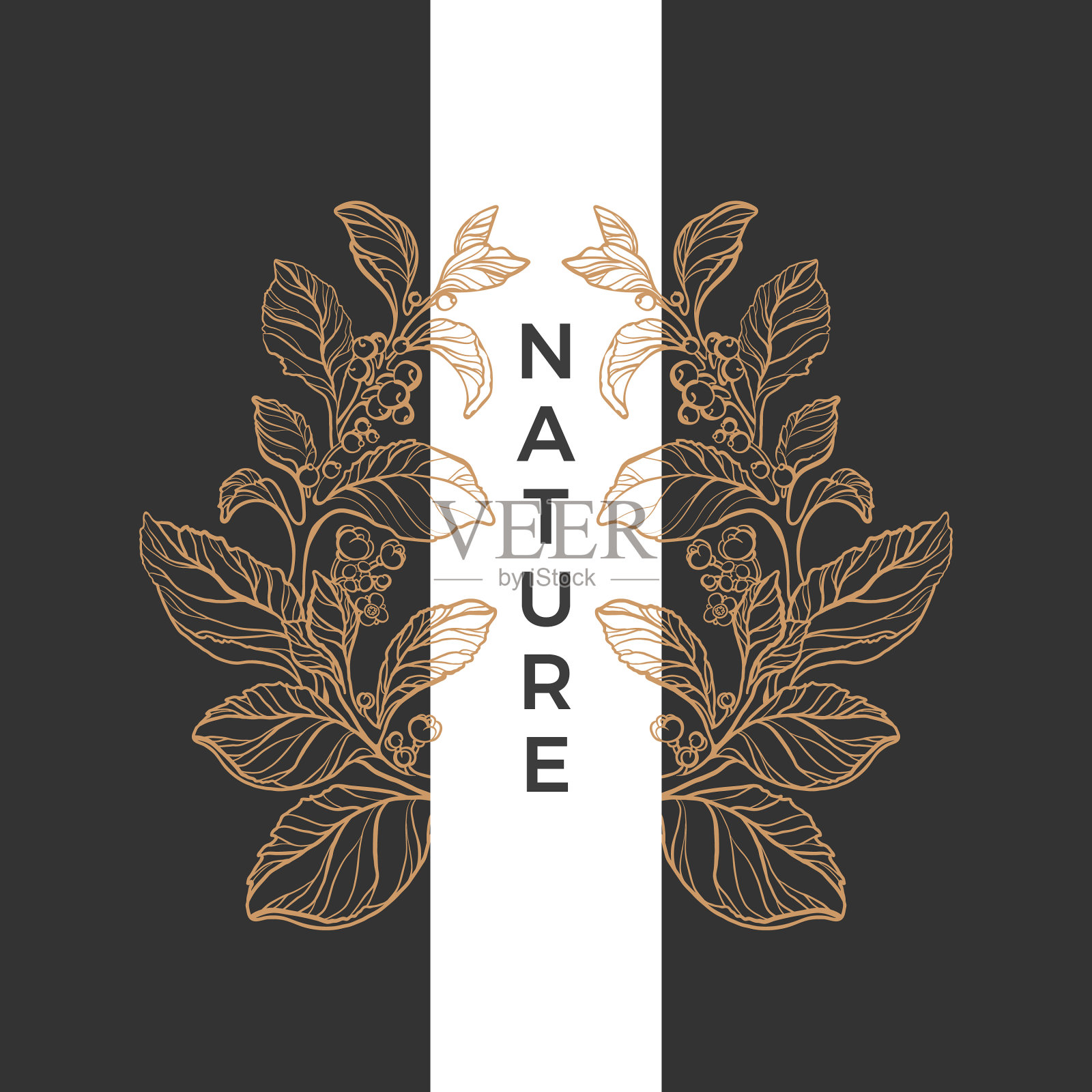 复古装饰线条艺术图案文本框插画图片素材