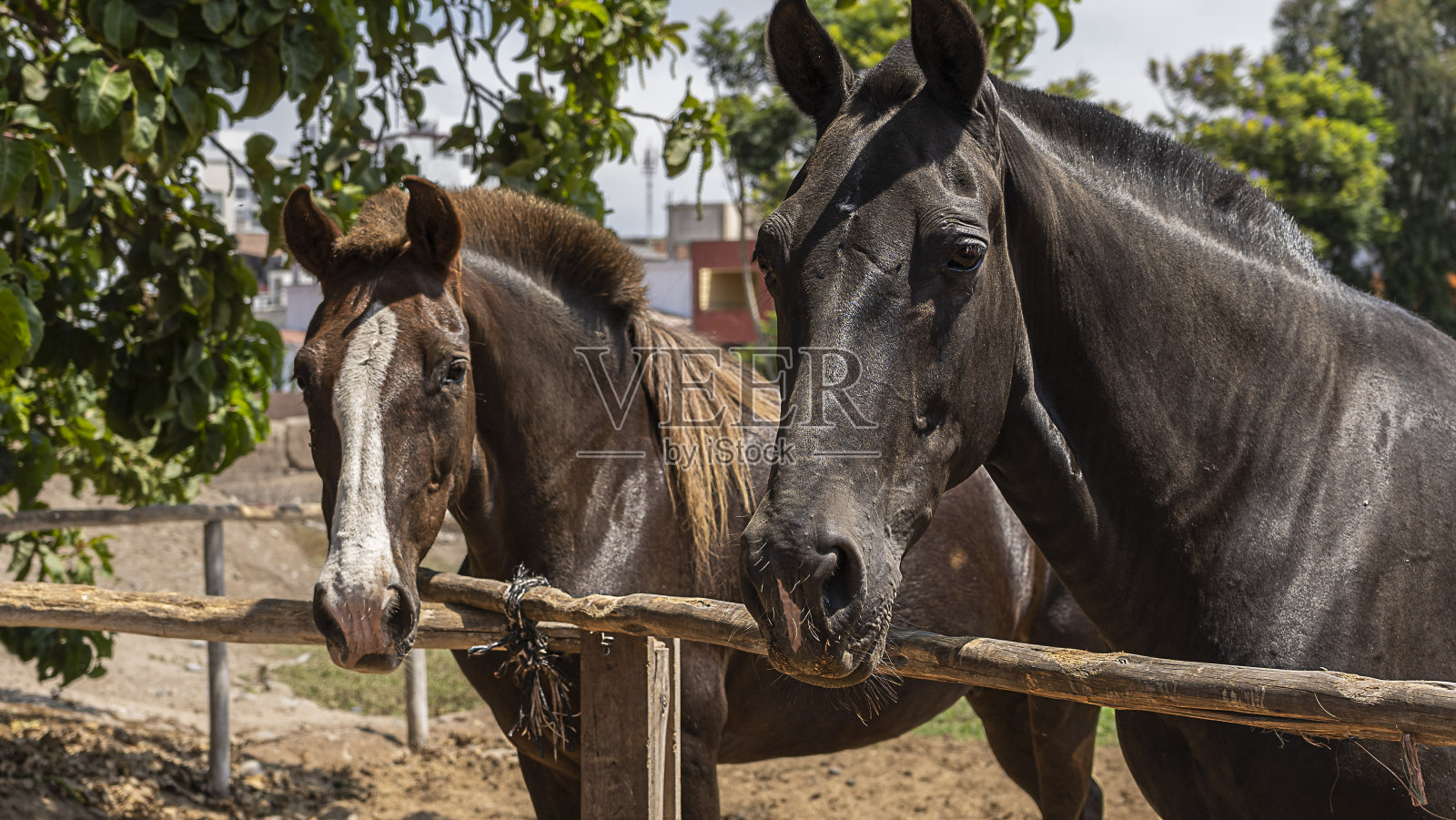 传说照片摄影图片