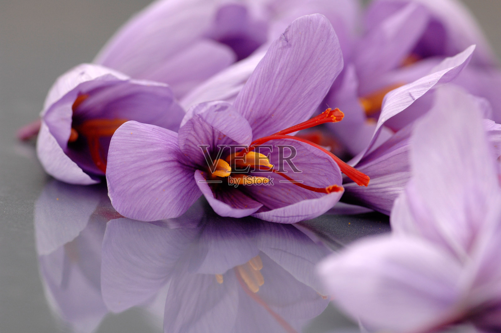 撒丁岛的典型产品，撒丁岛的藏红花花和雌蕊被称为zafferano di San Gavino照片摄影图片