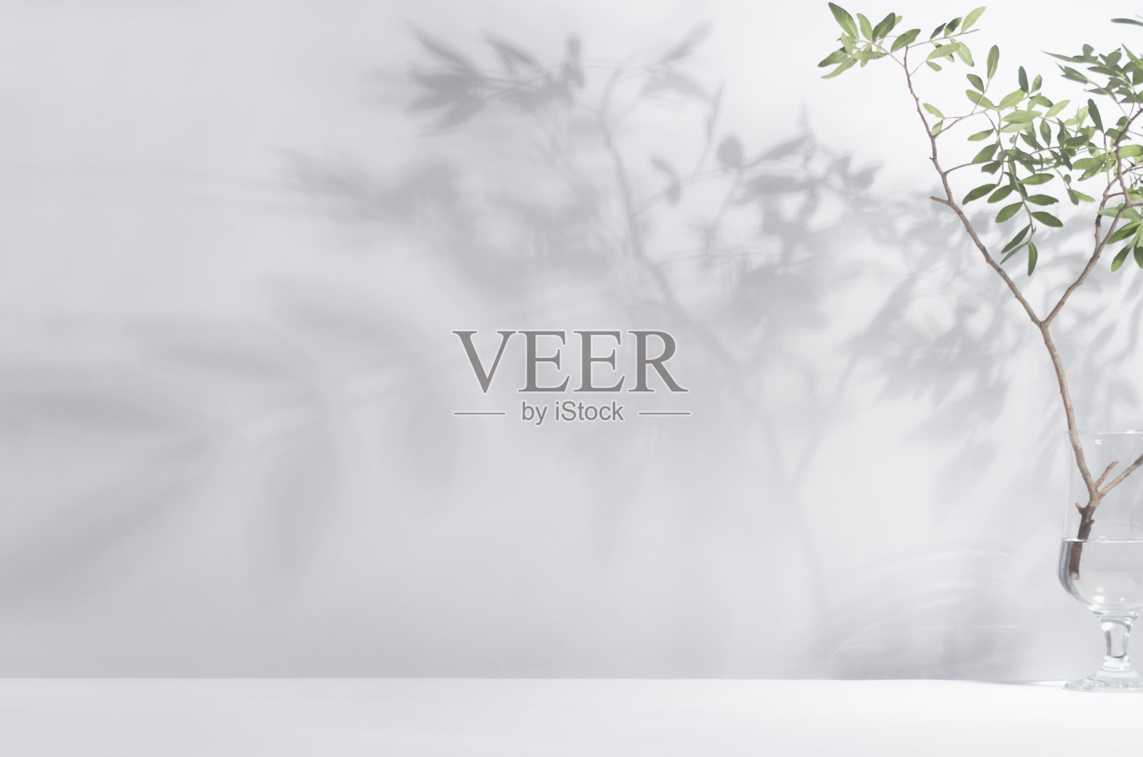 春天的阳光在绿色的树枝与阴影在白色的墙壁，地板，复制空间。照片摄影图片