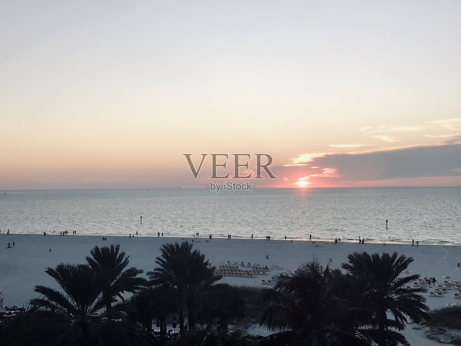 海滩贝壳佛罗里达海岸清水照片摄影图片