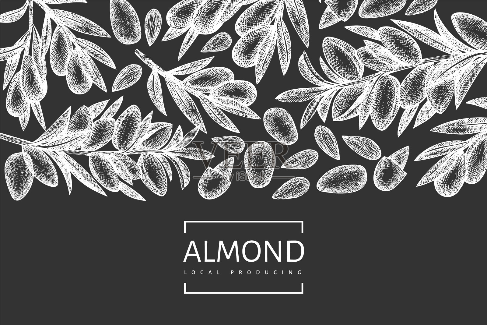 手绘草图杏仁设计模板有机插画图片素材