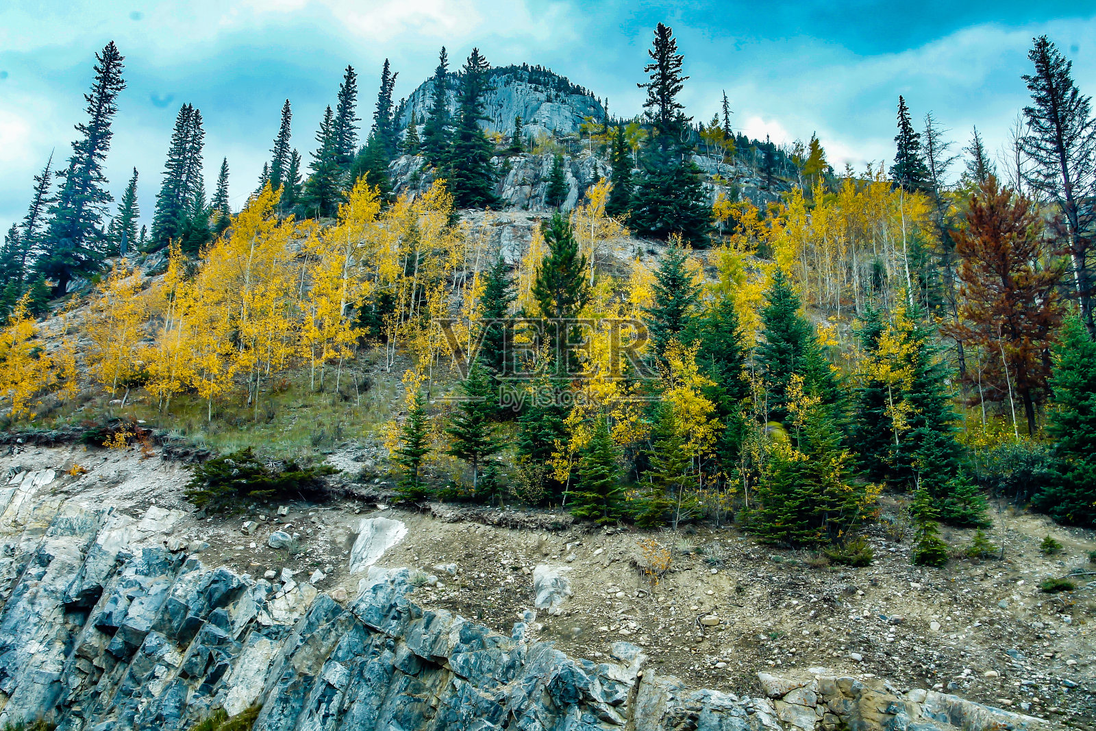 加拿大亚伯达省班夫国家公园朱砂湖周围的秋色照片摄影图片