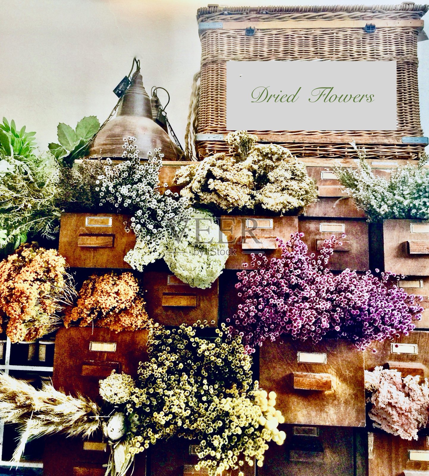 乡村干花市场展示照片摄影图片