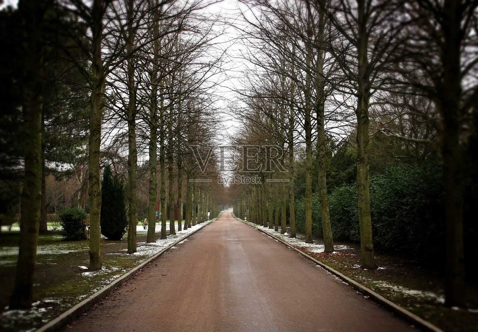 冬天里哥本哈根西部公墓的黑暗日子。照片摄影图片