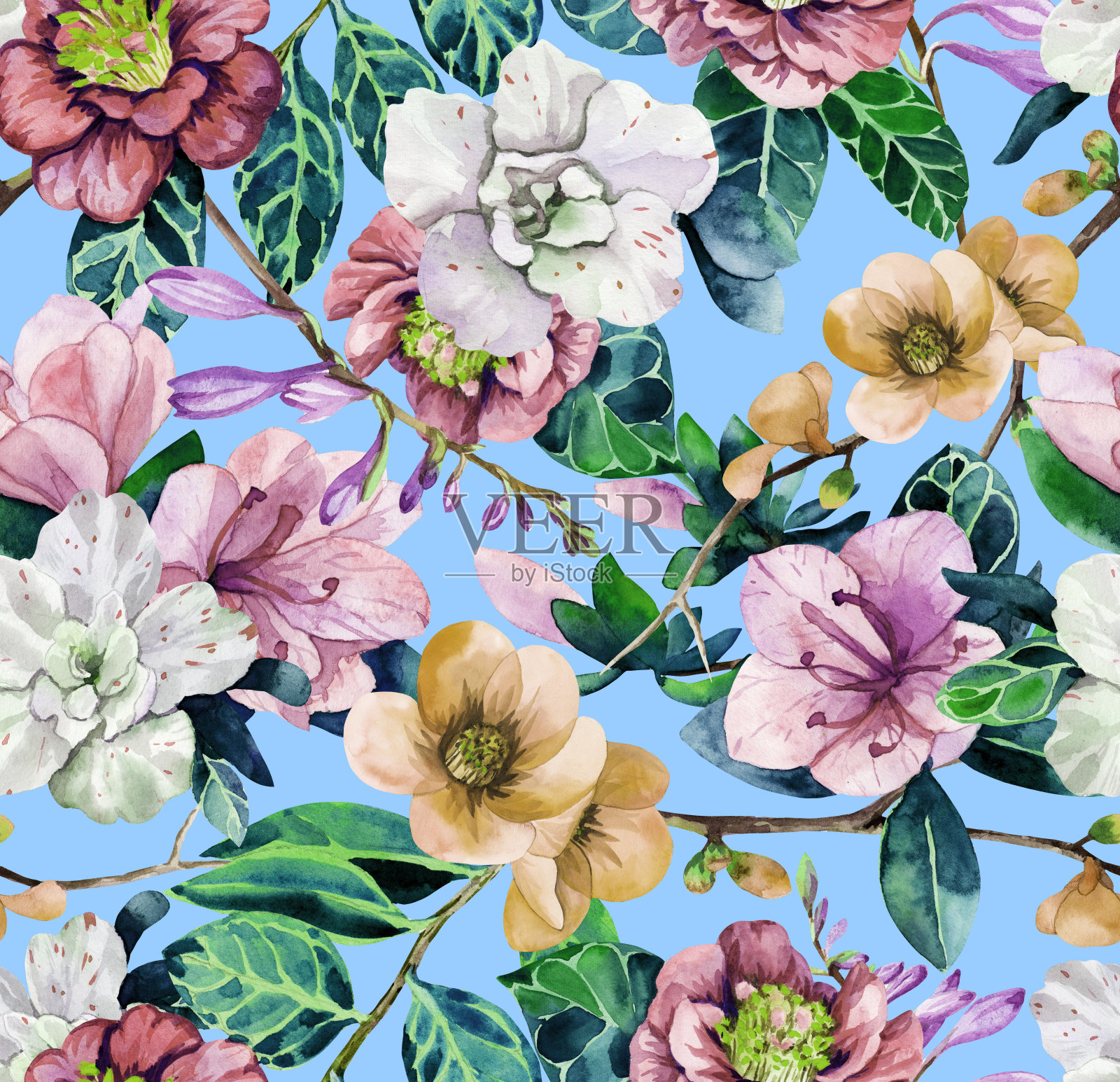 亚热带的花。无缝图案与杜鹃花，木兰，山茶和榅桲画在水彩插画图片素材