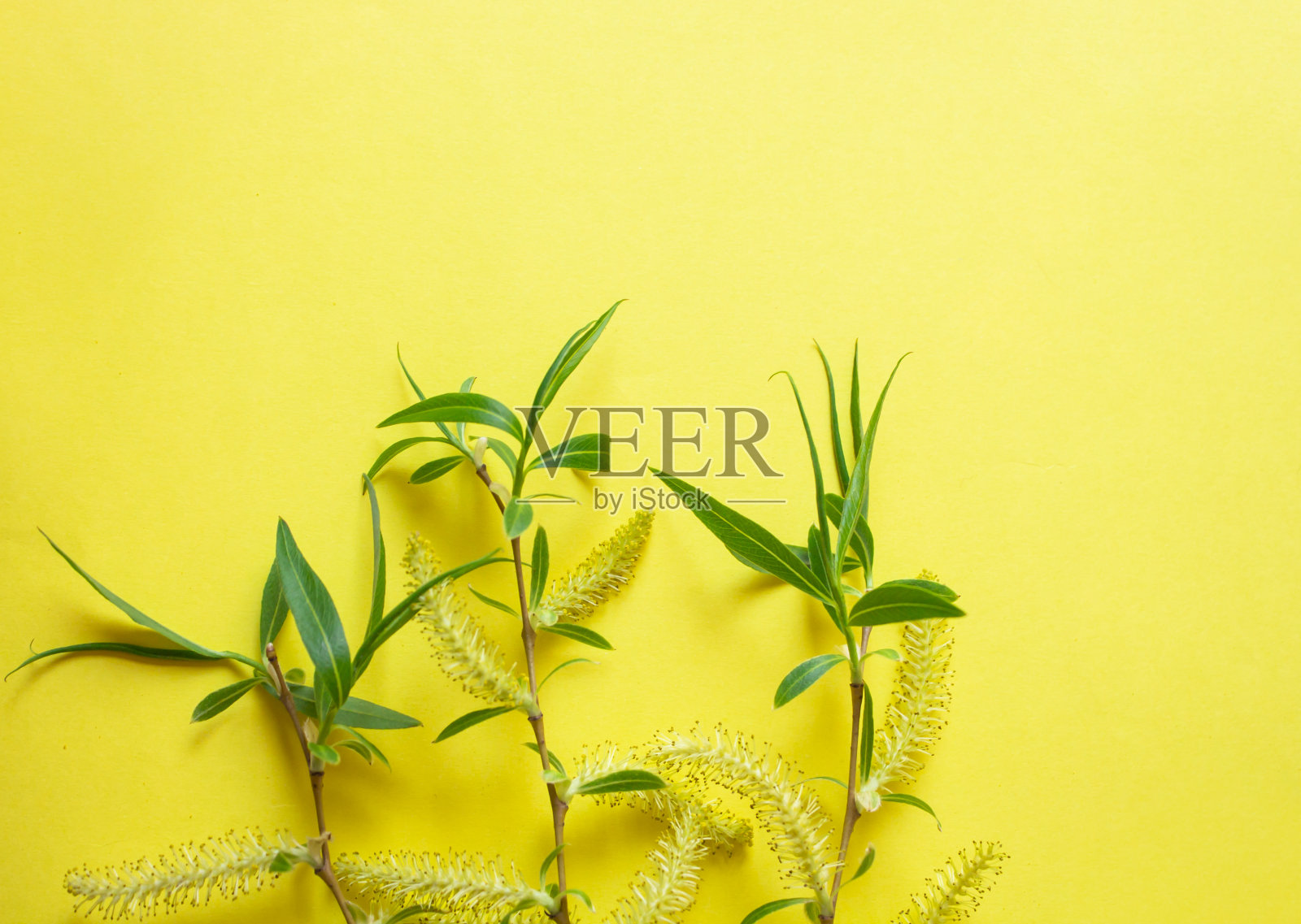 花。在阳光明媚的夏天或春天花园里的花。花为明信片美丽装饰和农业概念设计。美丽的花在热带花园。五颜六色的花。花朵图案。花的背景。鲜花花束。照片摄影图片