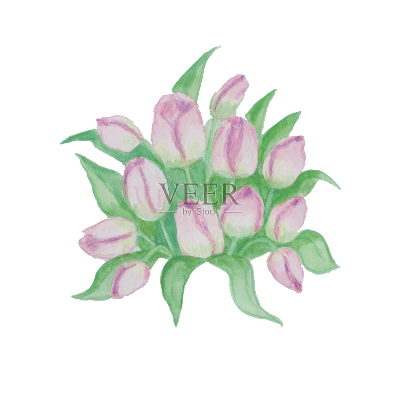 水彩插图花，郁金香和花瓶。花束，春季植物。夏日作文，花园。设计元素图片