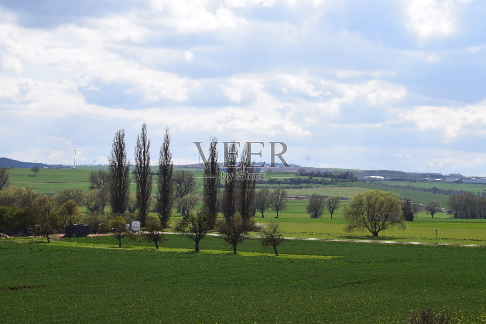 高耸的树木席卷了艾菲尔乡村照片摄影图片