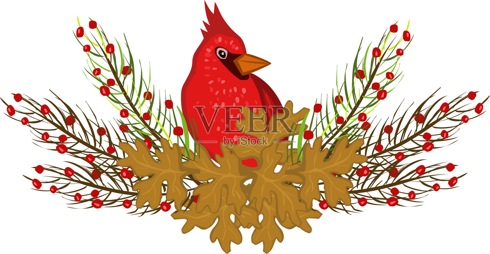圣诞鸟的形象插画图片素材