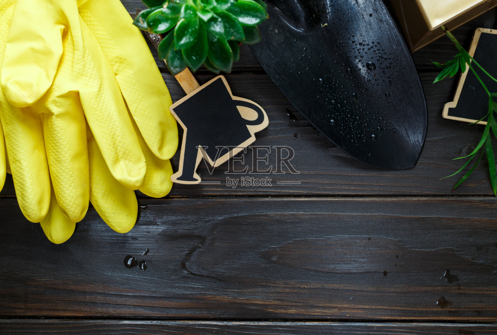 花盆里的幼苗，棕色木桌上制陶用的手套。室内园艺，植物浇水。春天,自然背景。照片摄影图片