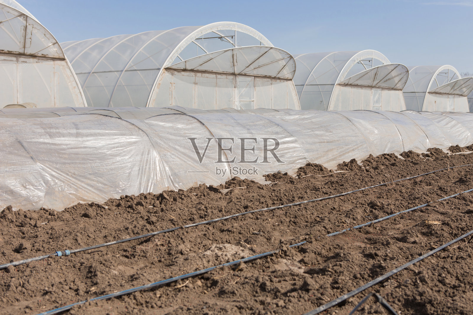 许多高低长温室，在前景滴灌软管照片摄影图片