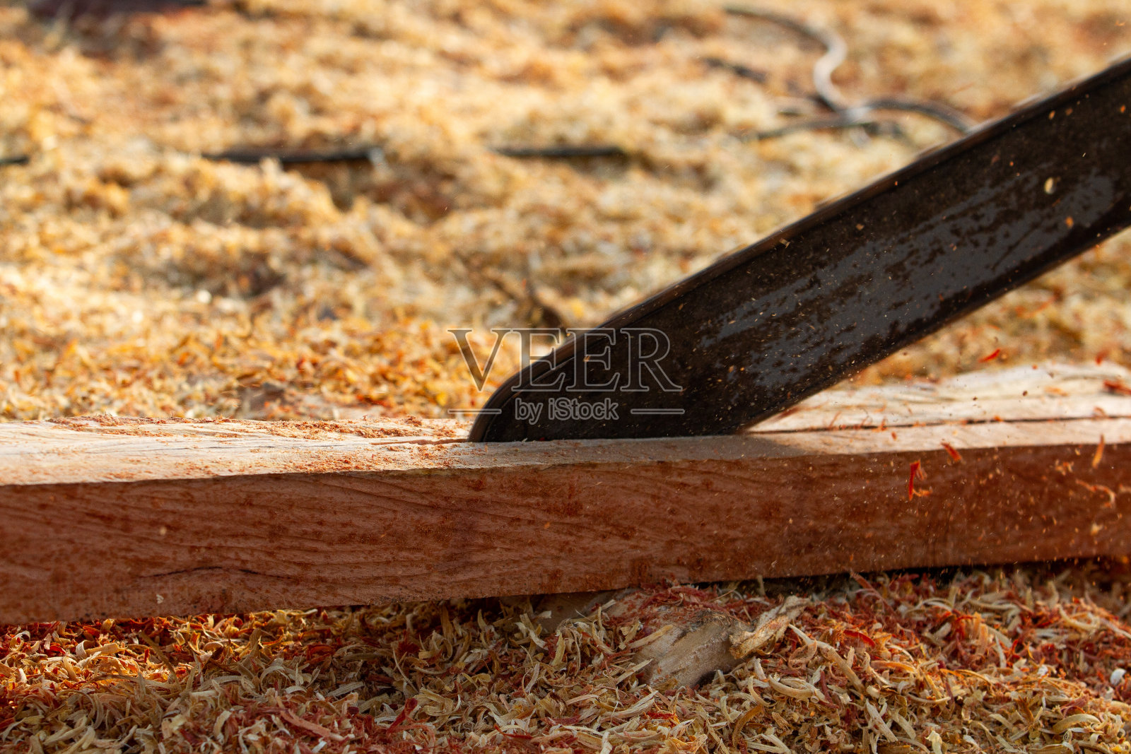 近距离的樵夫锯链锯在运动照片摄影图片