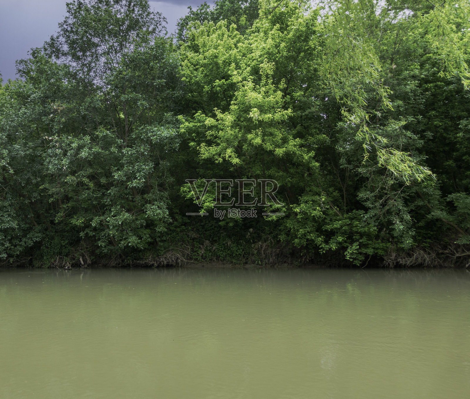 浑浊的河岸照片摄影图片