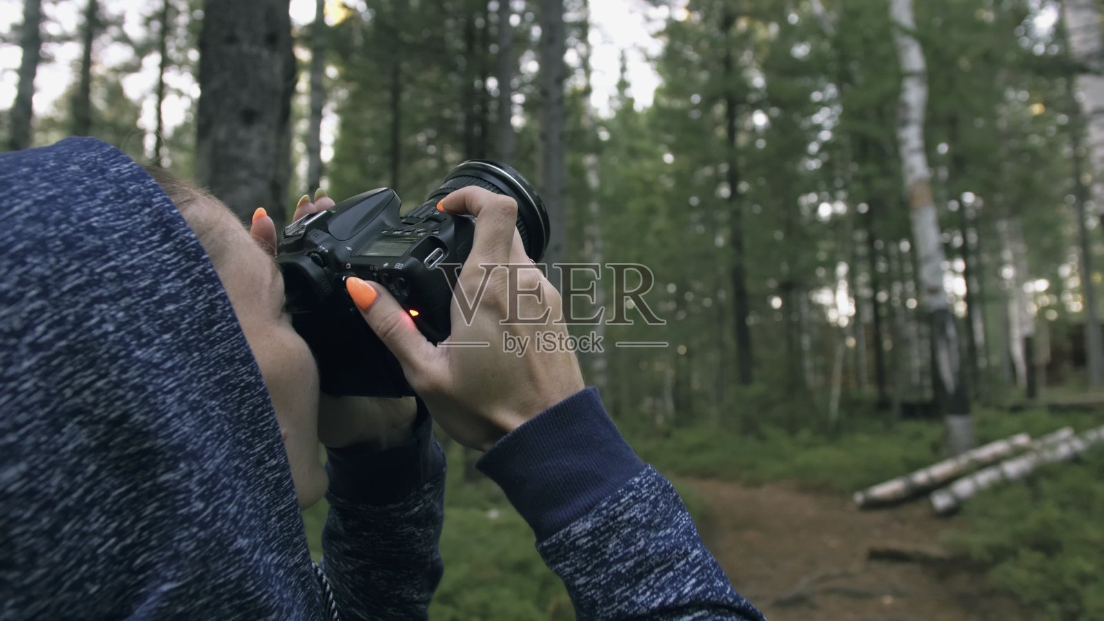 游客在森林中拍摄风景。一名白人女性拍摄了漂亮的魔术。女孩用无反光镜单反相机拍摄视频。照片摄影图片