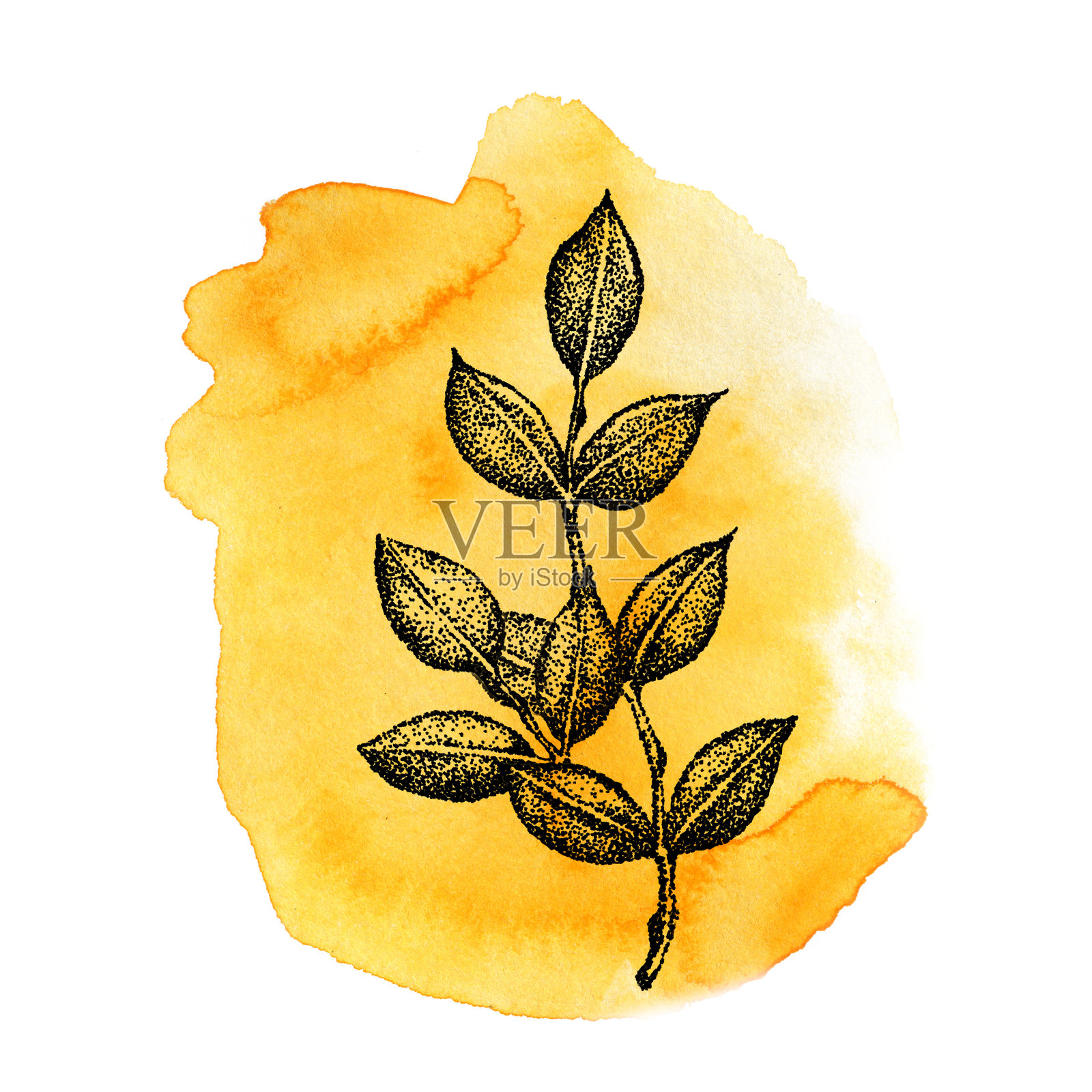 图形树枝与树叶在黄色水彩纹理背景。手绘插图模板设计，社交媒体，封面，织物，包装，壁纸插画图片素材