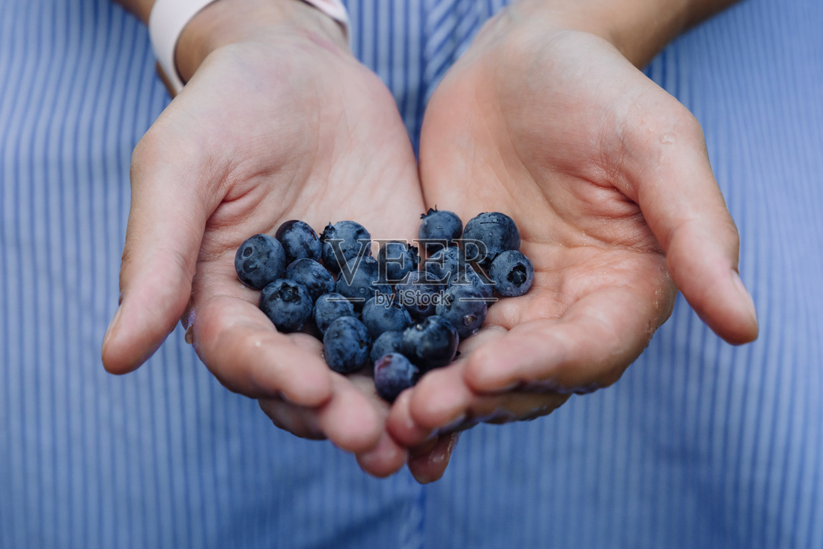 新鲜的蓝莓心形在年轻女子的手在浅蓝色的裙子背景。新鲜采摘的有机蓝莓。健康饮食观念。照片摄影图片
