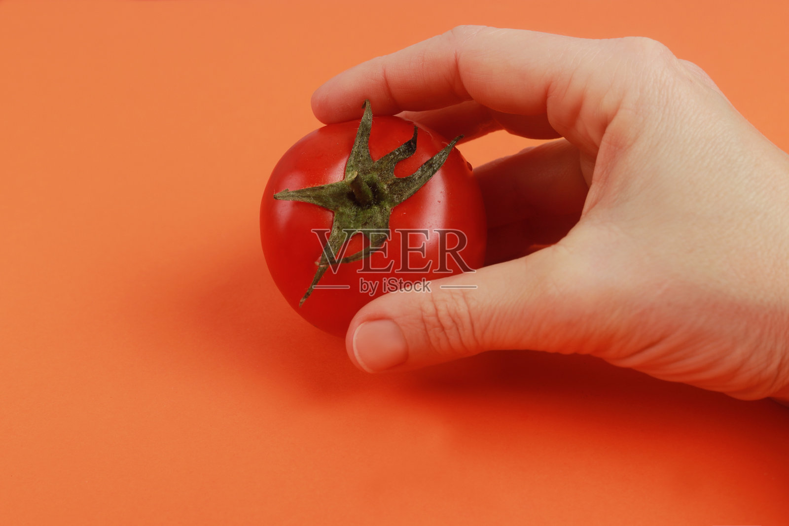 手拌熟番茄照片摄影图片