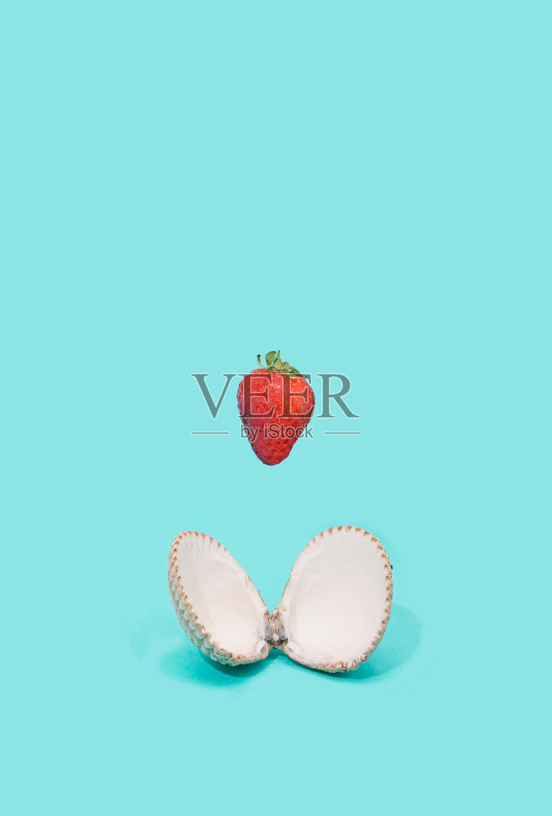 独特的开放扇贝布局与有机新鲜草莓漂浮在空中。充满活力的水蓝色背景。照片摄影图片
