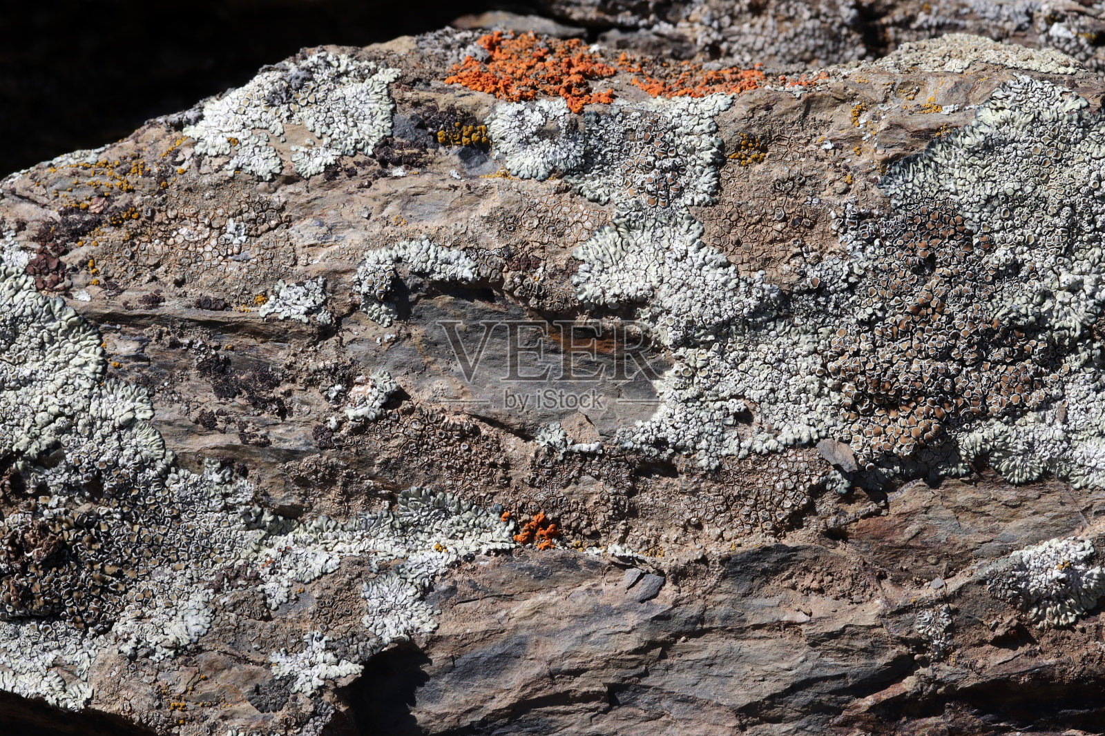 花岗岩岩石纹理背景抽象照片摄影图片