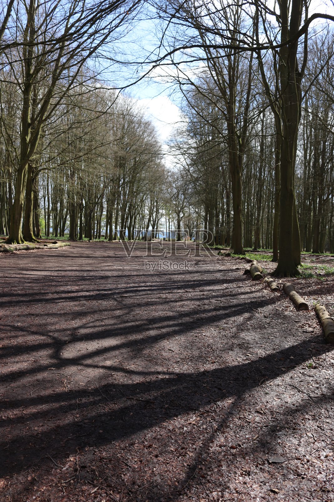 农村照片摄影图片