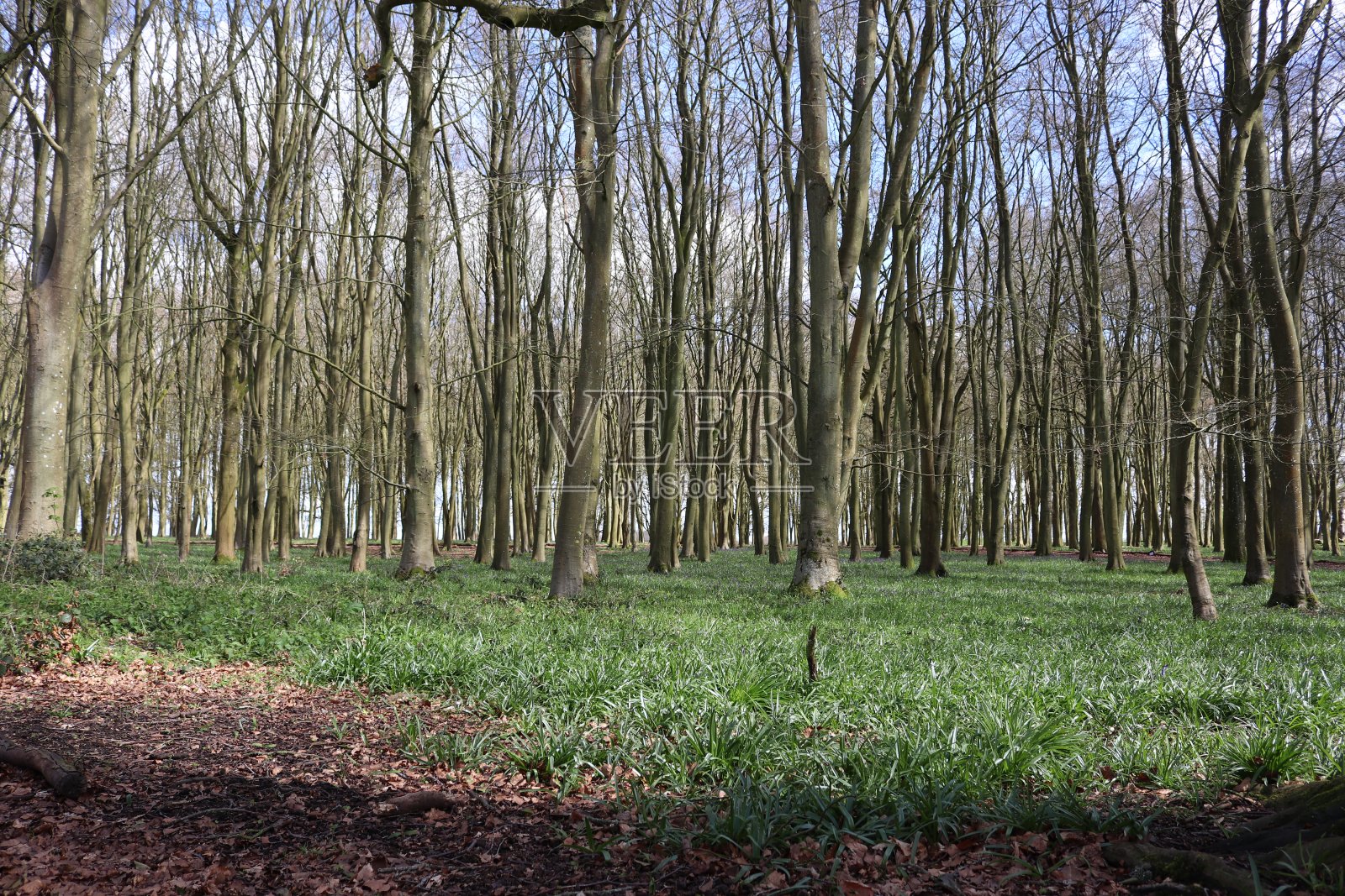 农村照片摄影图片