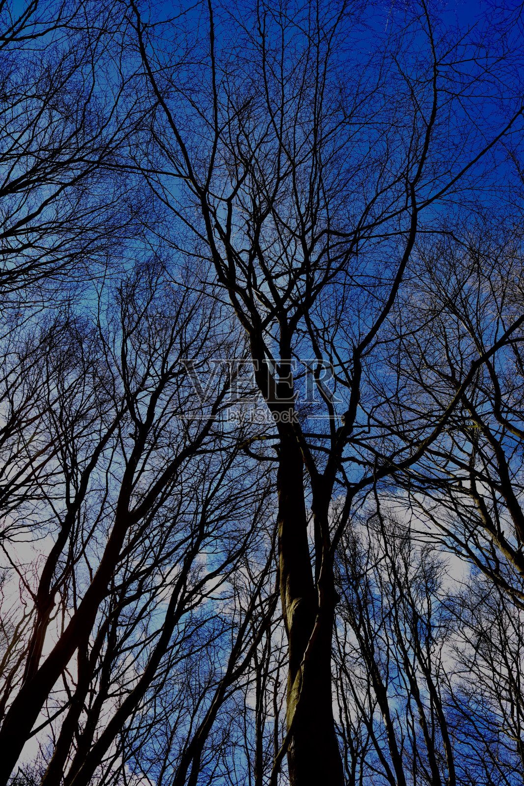 农村照片摄影图片