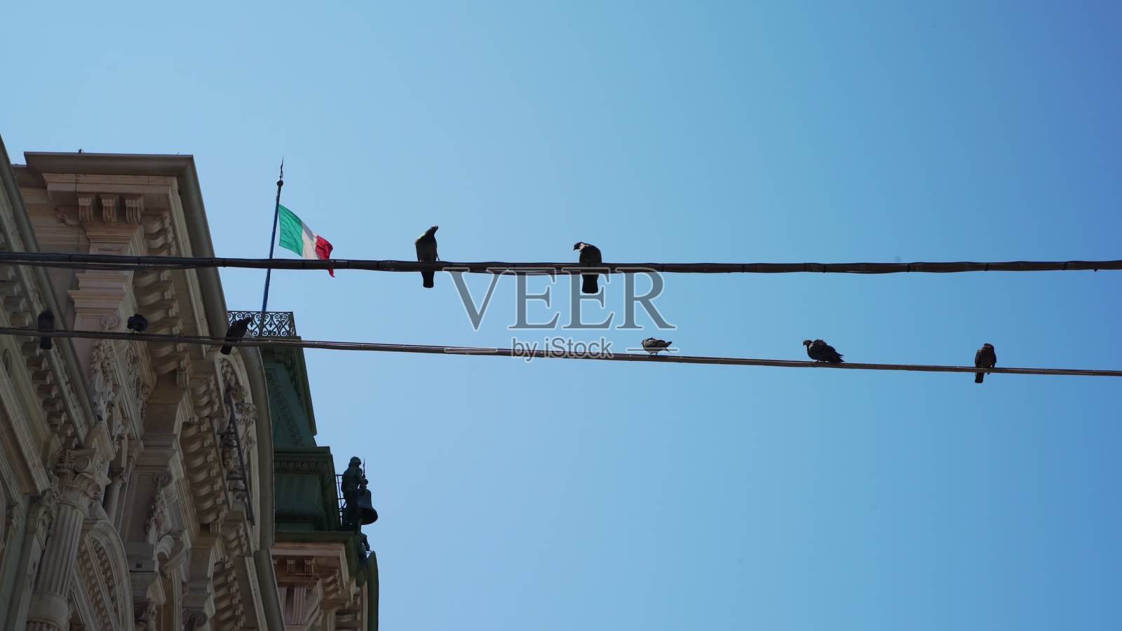 蓝色的天空衬托着意大利横幅附近的电线上栖息着鸟儿照片摄影图片