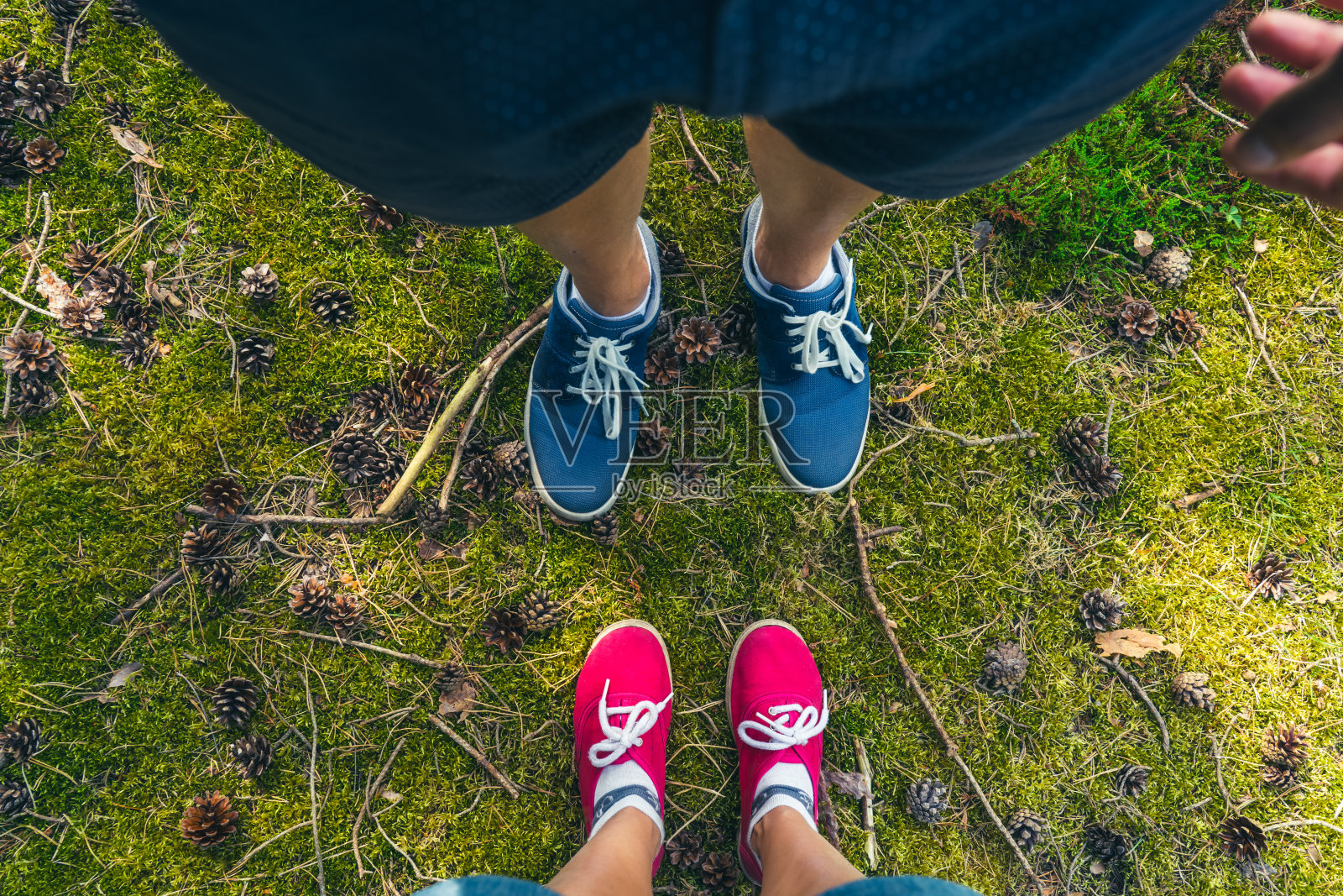 低头看着穿着彩色运动鞋的男男女女，站在有球果和树枝的绿草地上。一对情侣在夏日森林里散步。在自然中旅游和放松。数字排毒。照片摄影图片