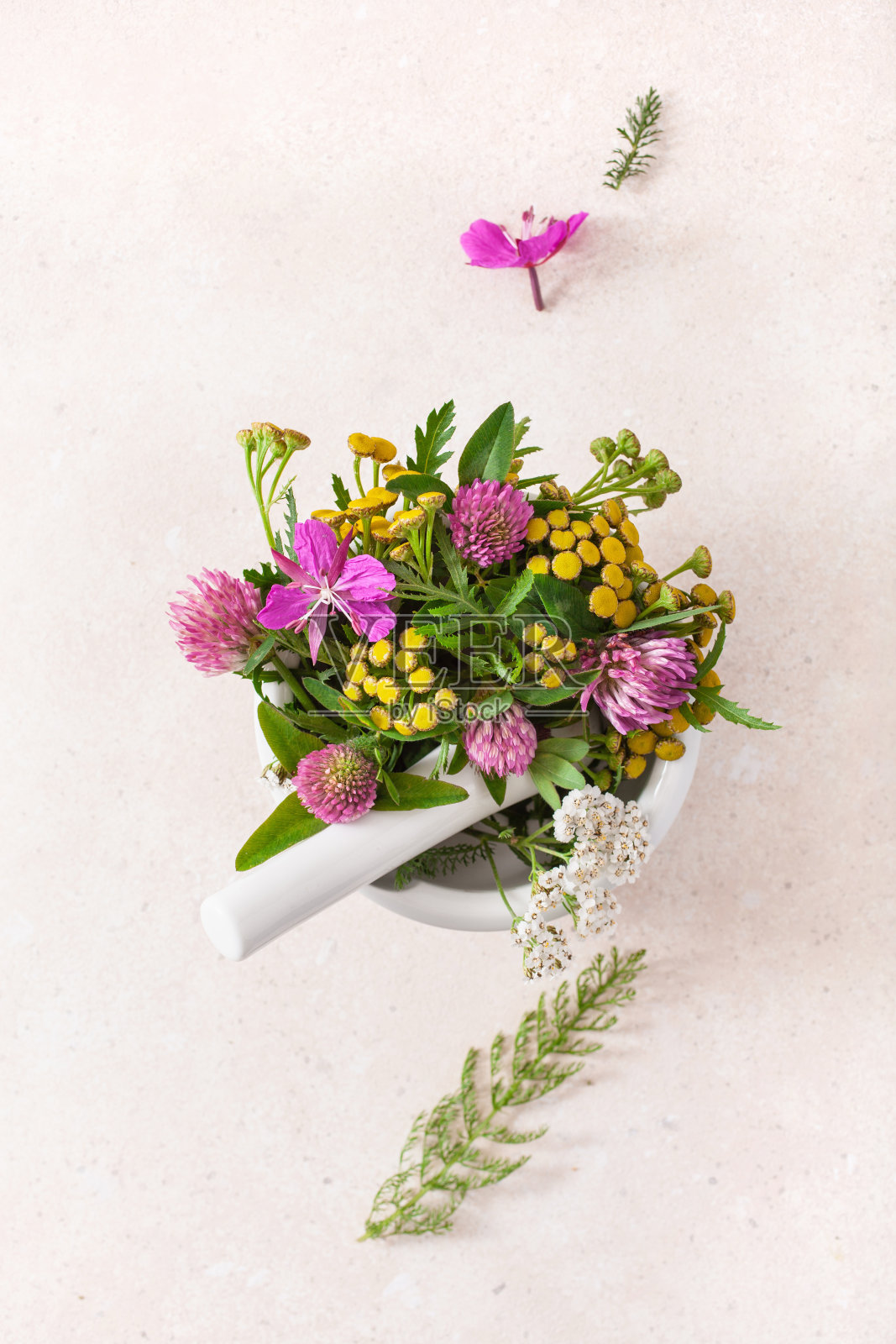 迫击炮里的药草花。三叶草，milfoil，唐茜，玫瑰。健康自然的生活方式照片摄影图片