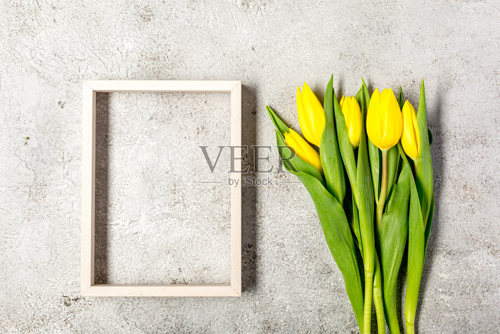 灰色的墙壁上开着鲜艳的黄色郁金香花照片摄影图片