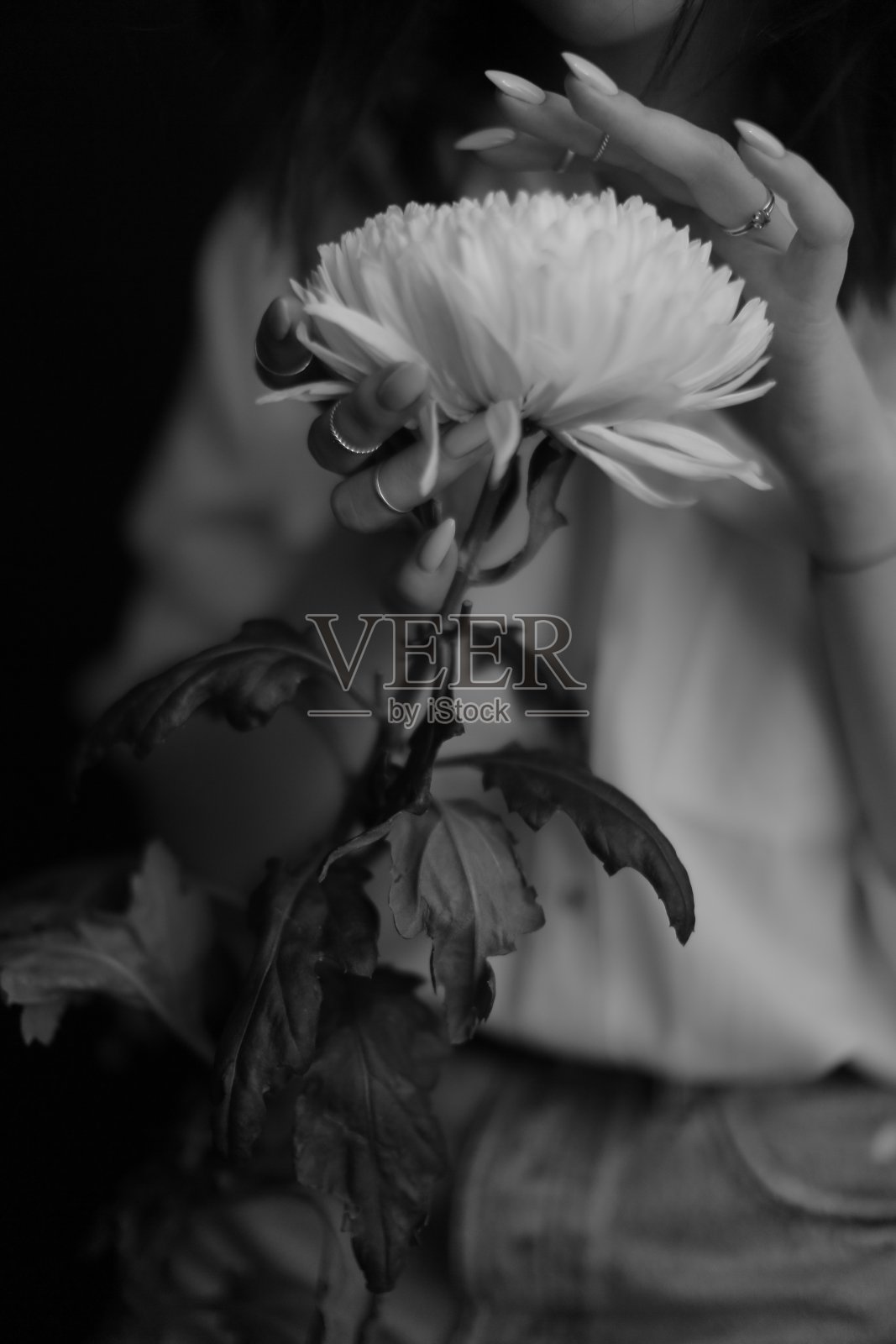 身体和植物枝桠的细节，模糊而细腻地拍下黑白照片照片摄影图片