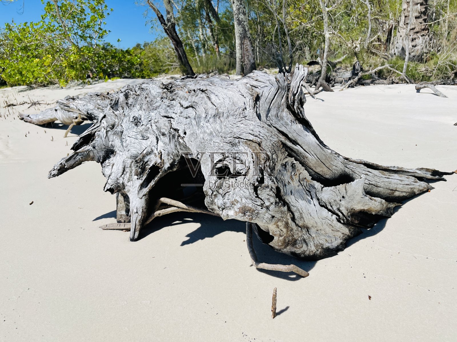 神奇的带来快乐照片摄影图片