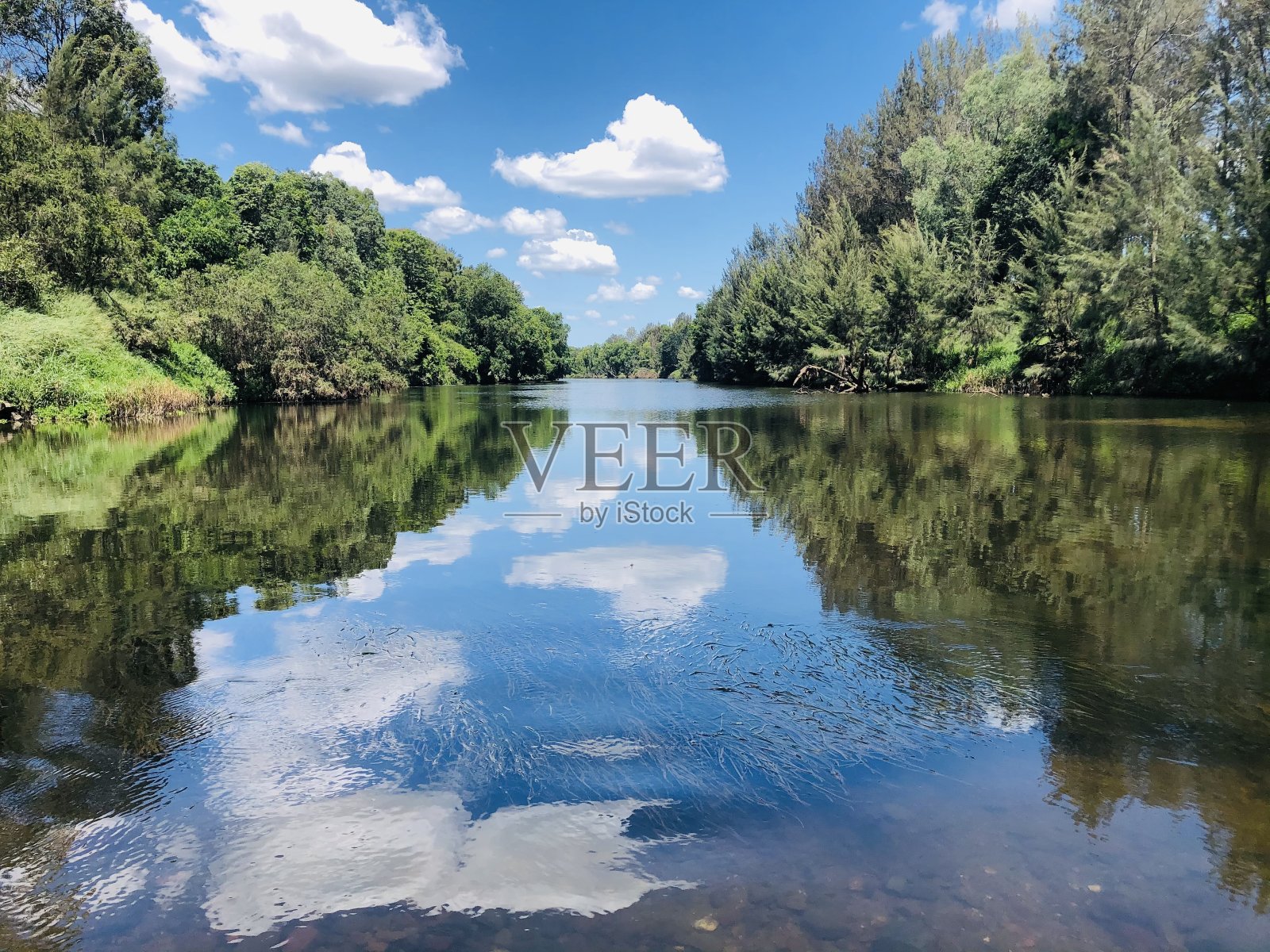 神奇的带来快乐照片摄影图片